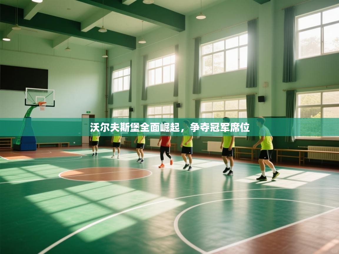 沃尔夫斯堡全面崛起，争夺冠军席位  第1张