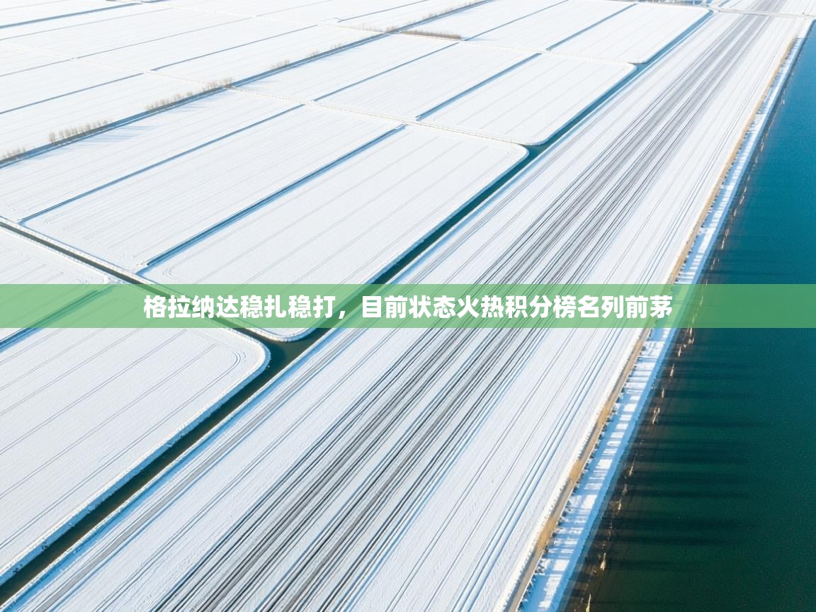 格拉纳达稳扎稳打，目前状态火热积分榜名列前茅  第2张