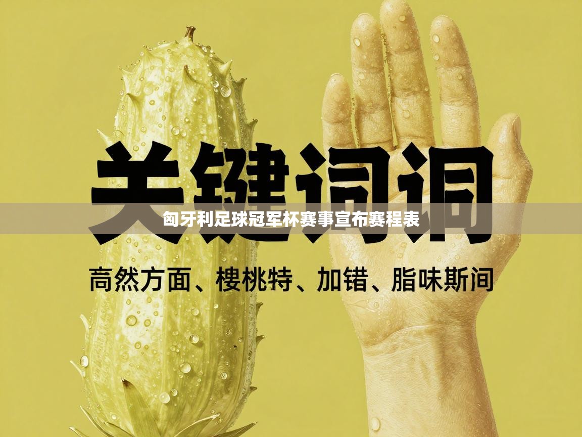 匈牙利足球冠军杯赛事宣布赛程表  第1张