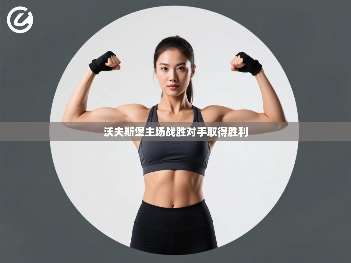 沃夫斯堡主场战胜对手取得胜利  第2张