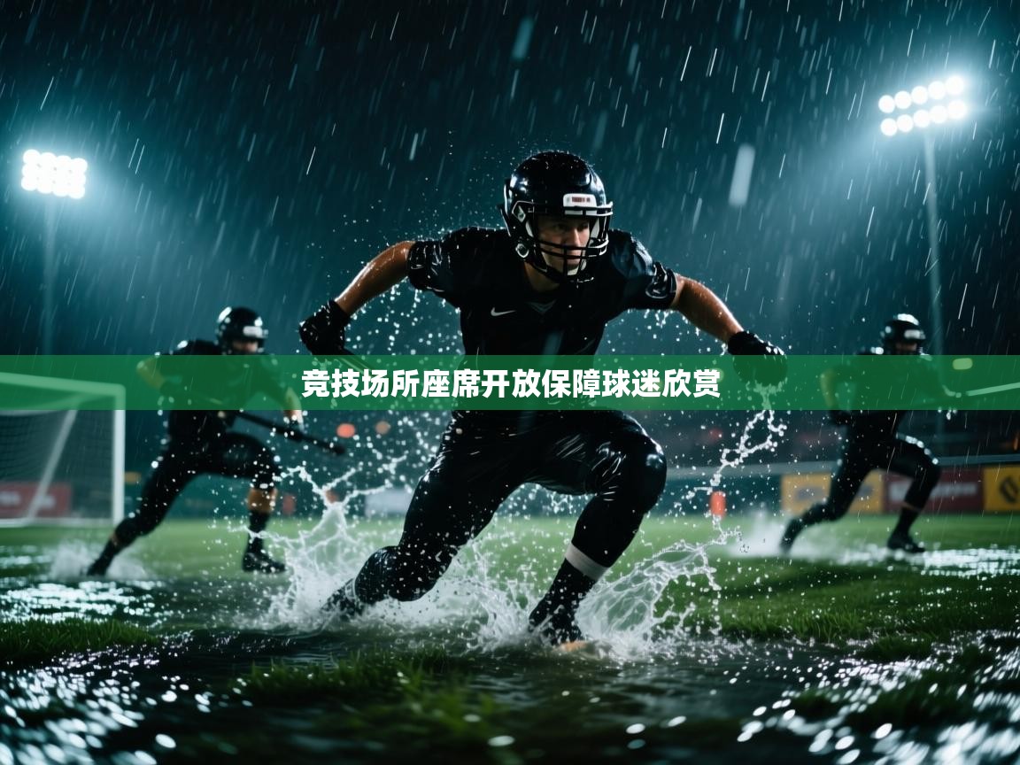 竞技场所座席开放保障球迷欣赏  第1张