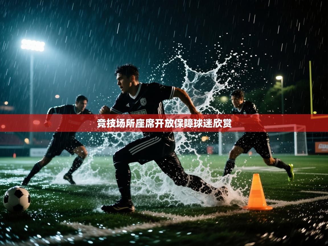 竞技场所座席开放保障球迷欣赏  第2张