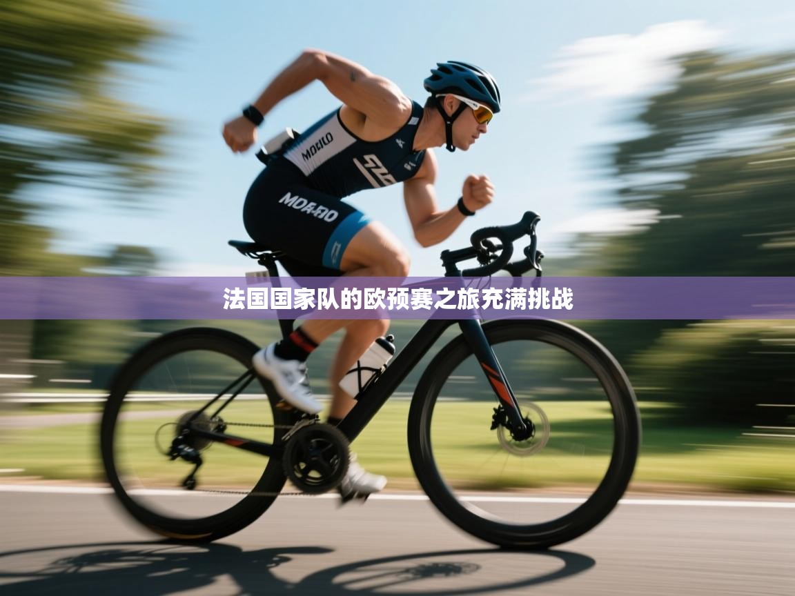 法国国家队的欧预赛之旅充满挑战  第1张
