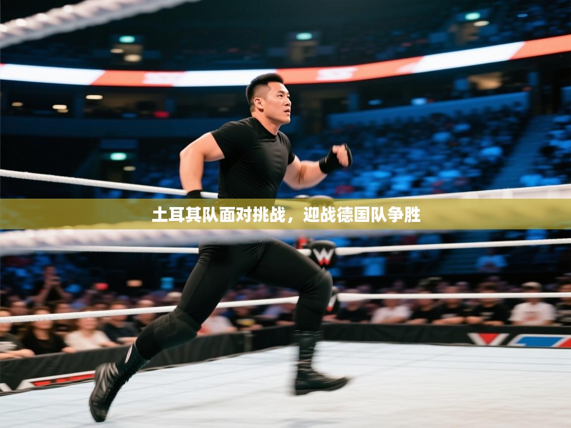 土耳其队面对挑战，迎战德国队争胜  第1张