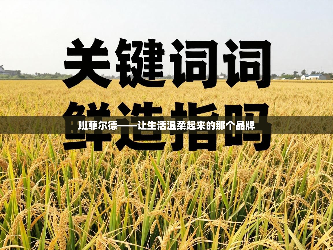 班菲尔德——让生活温柔起来的那个品牌  第1张